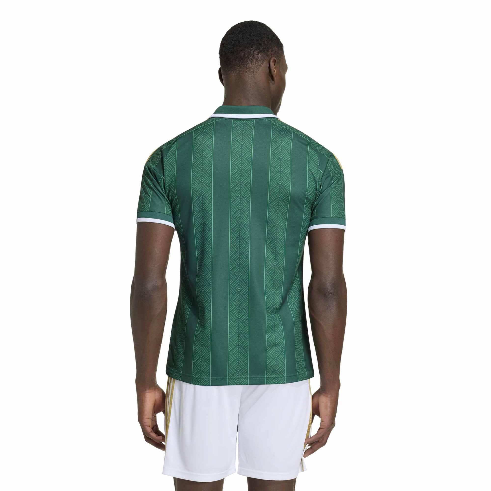[SJH] South Africa National Team 2026 Away Replica Jersey - Green