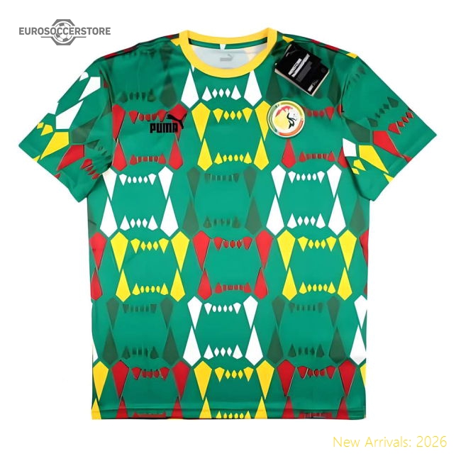 First-class 2023-2024 Senegal National Team Ftblculture Jersey (green)