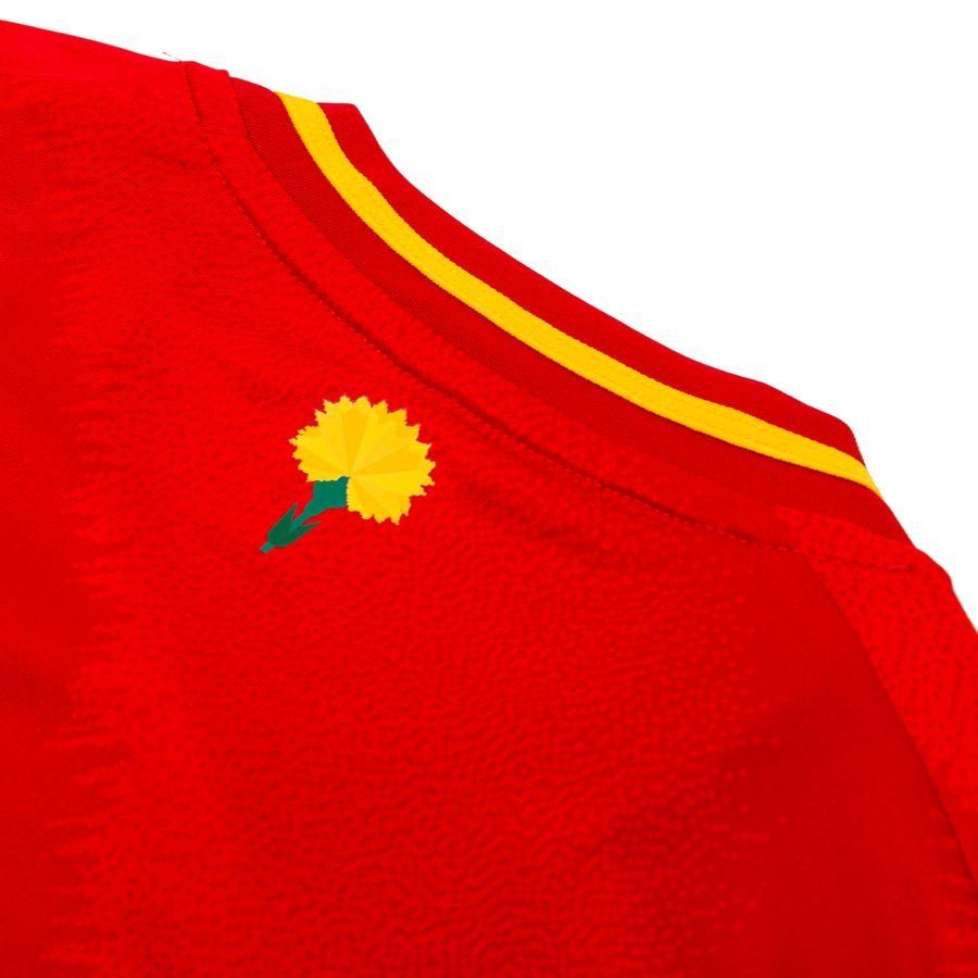 Spain Home Shirt 2024/25 For Algeria Football Fans