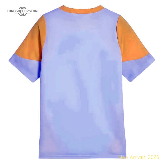 Performance 2025-2026 Borussia Dortmund Training Jersey (Silver Mist) -