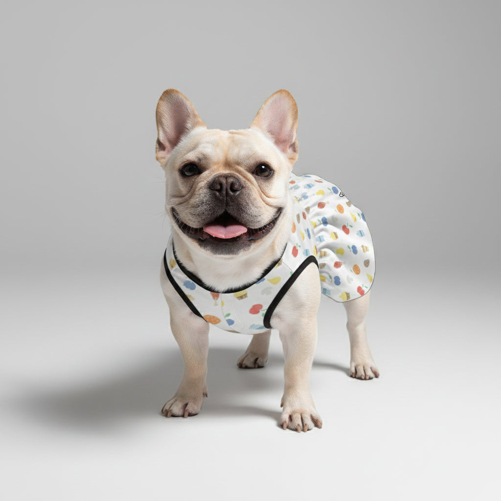 Lulu - French Bulldog Dresses for Females