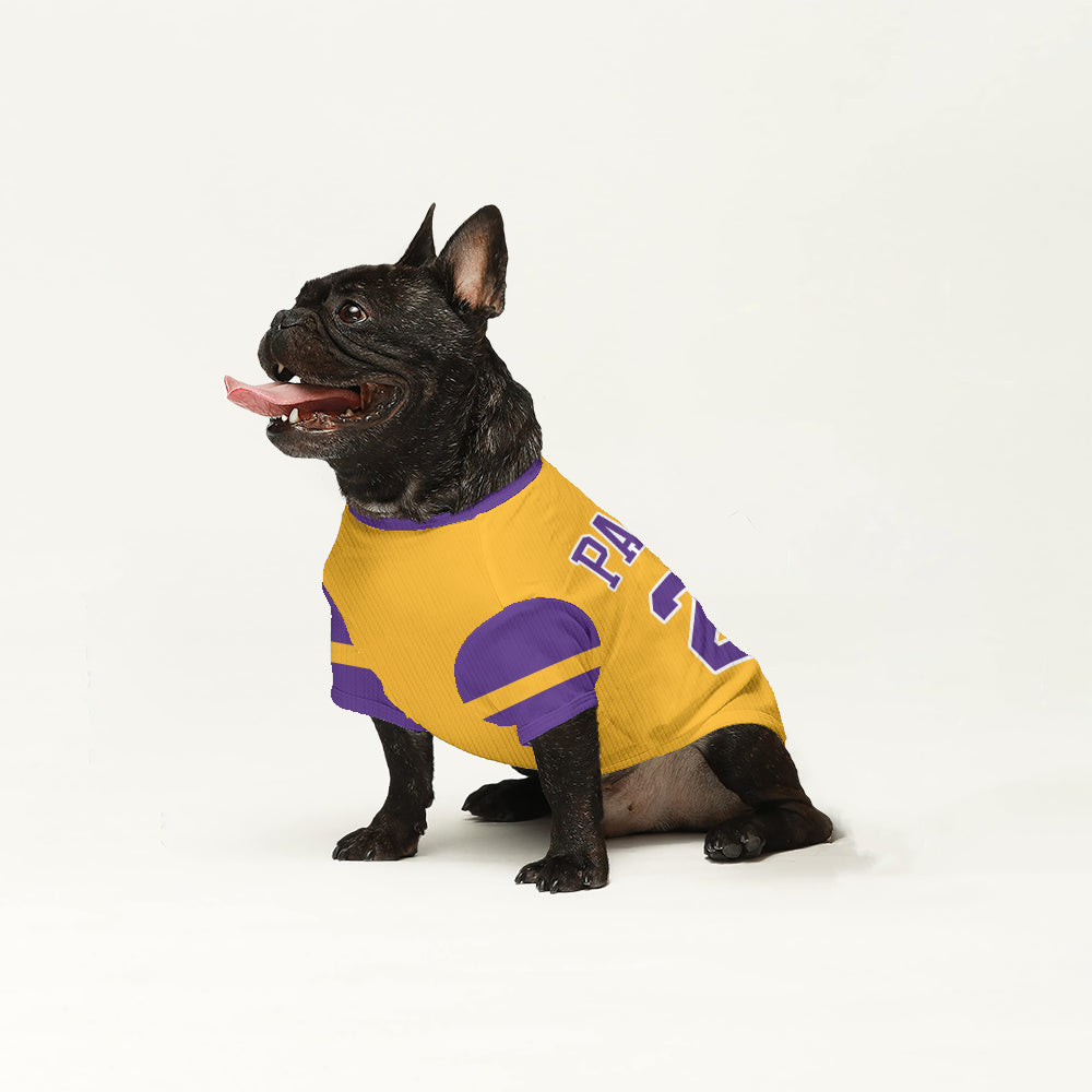 Personalized Wool Sweater For Frenchies Casual Wear | Premium Quality