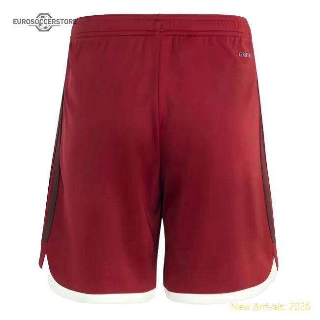 2023-2024 Bayern Munich Third Shorts (Red) - Kids