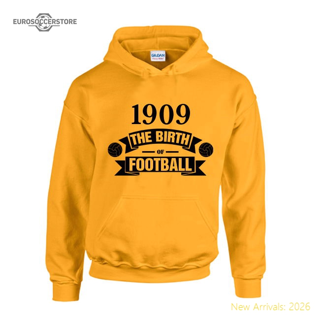 Fan-Favorite Borussia Dortmund Birth Of Football Hoody (Yellow) - Kids