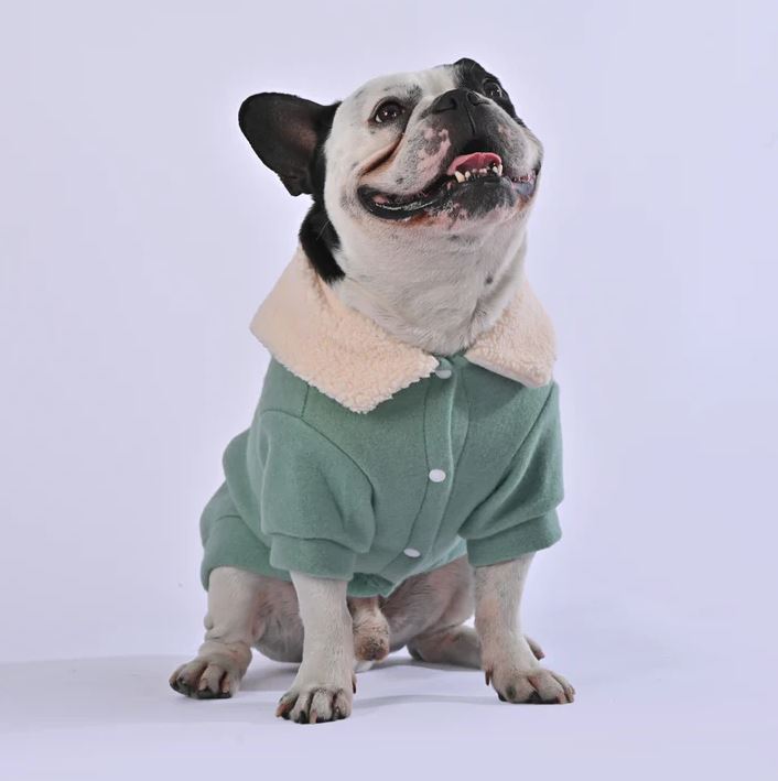 French Bulldog Clothsy™ French Bulldog Warm Sweater (wl02) Warm Dog Outfit