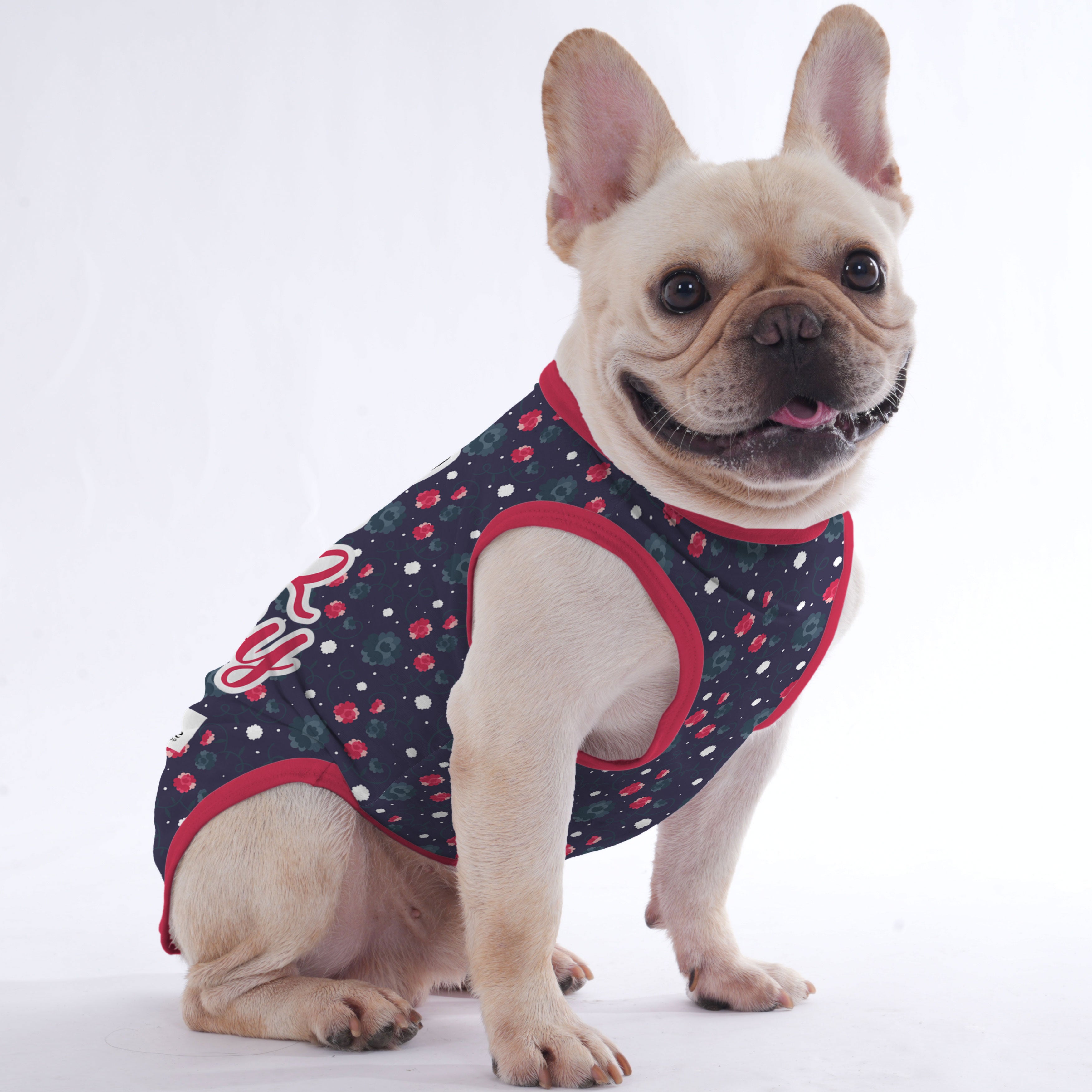 Penelope - Shirt for Frenchies - Frenchie Shop Original