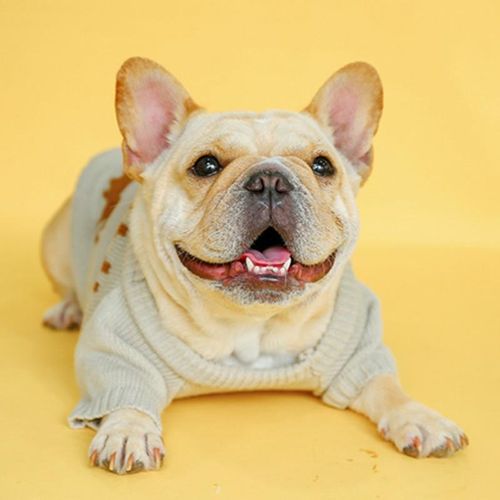 Warm Sweater For French Bulldog For Frenchie Fans | Premium Quality