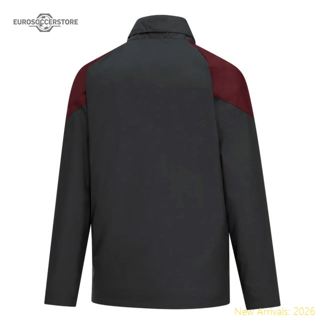 Premier Team Premier League Training Pro-level Jersey Puma Drycell
