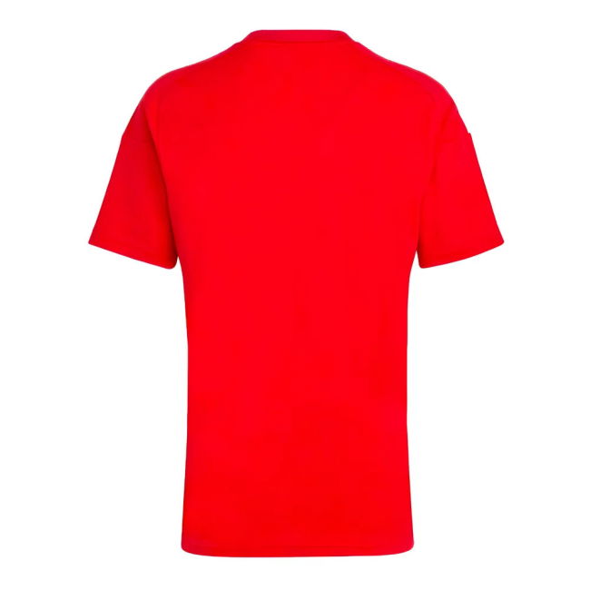 Hungary Performance Home Jersey 2024-2025 #30