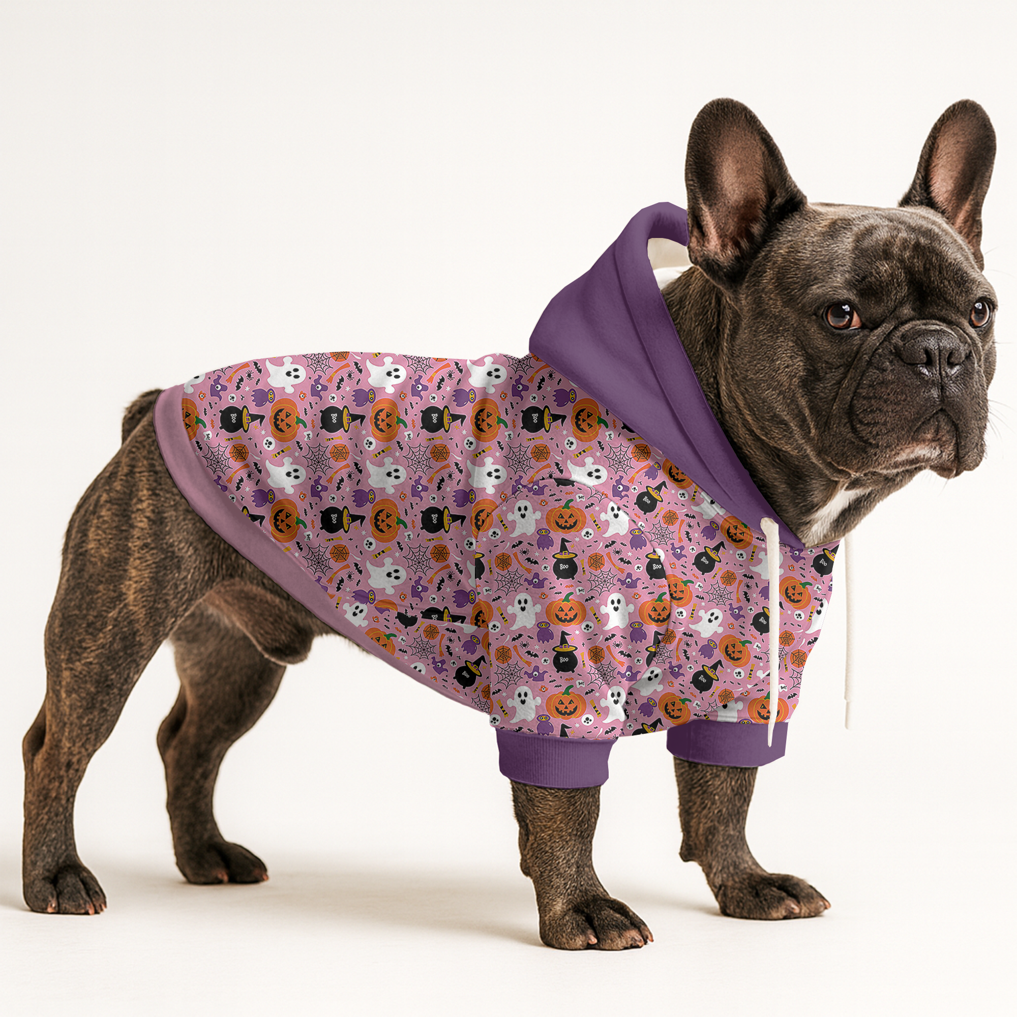 Ace - Dog Owner Frenchie Hoodie For Dog Lovers | Comfy Fit