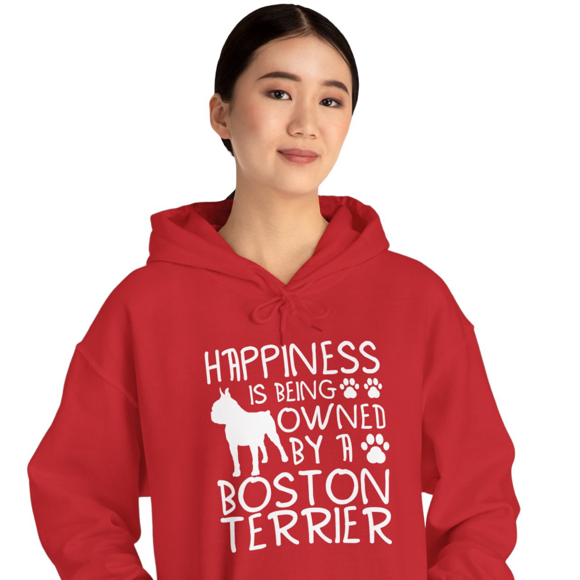 Everyday Lionel - Unisex Hoodie For Boston Terrier Lovers for Home Use