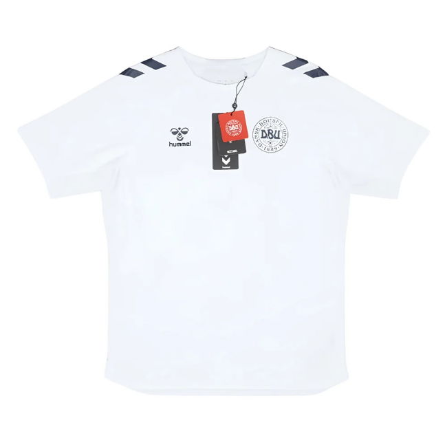 Premium 2024-2025 Denmark Training National Official Authentic