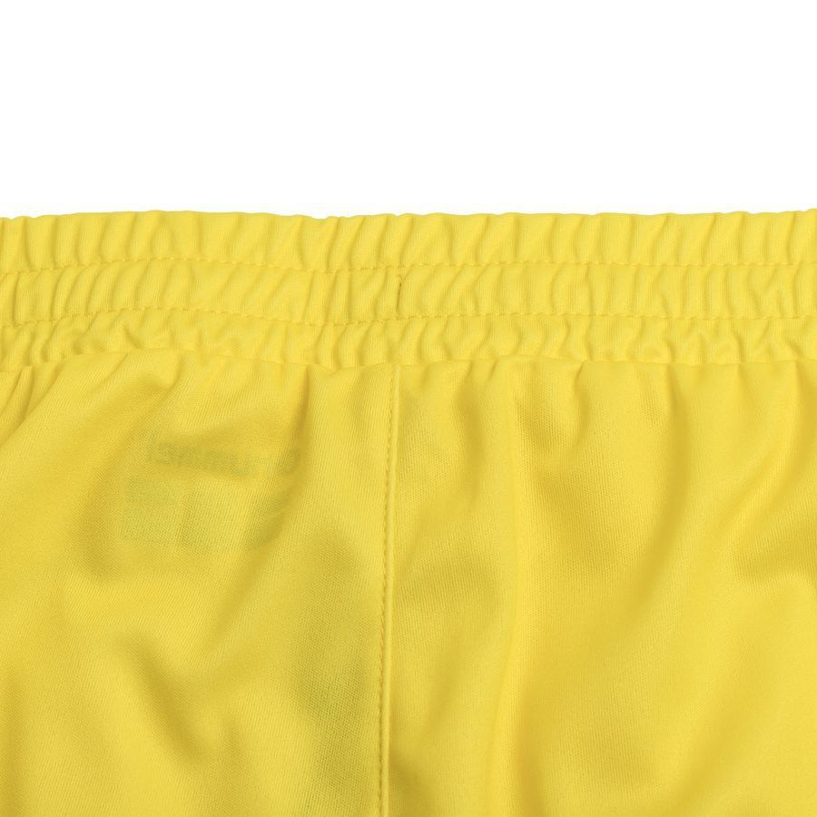 [ESK] Denmark Shorts Goalkeeper Uniform 2023/24