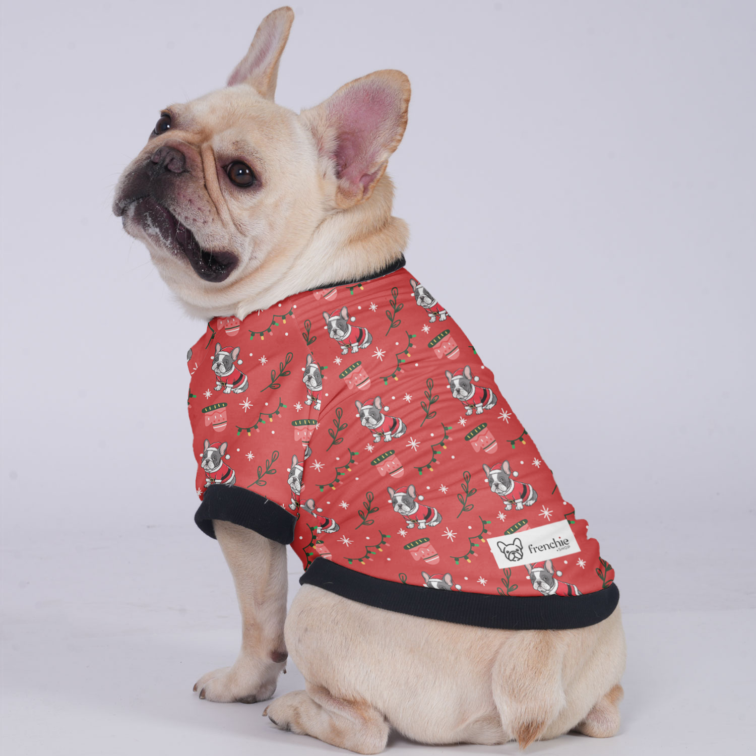 Kobe - Frenchie Jacket For French Bulldog Indoor Use | Non-slip Design