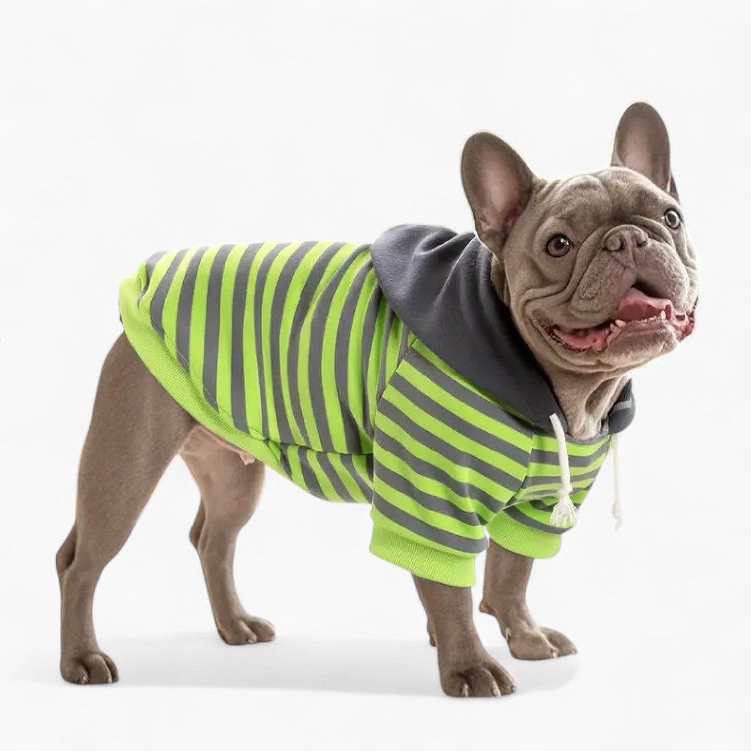 Minimal-Aesthetic Striplee French Bulldog Hoodie – Soft Striped Knit ...
