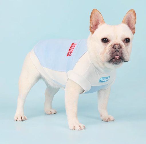 French Bulldog French Bulldog Summer Vest – Elastic Breathable Uv Bug