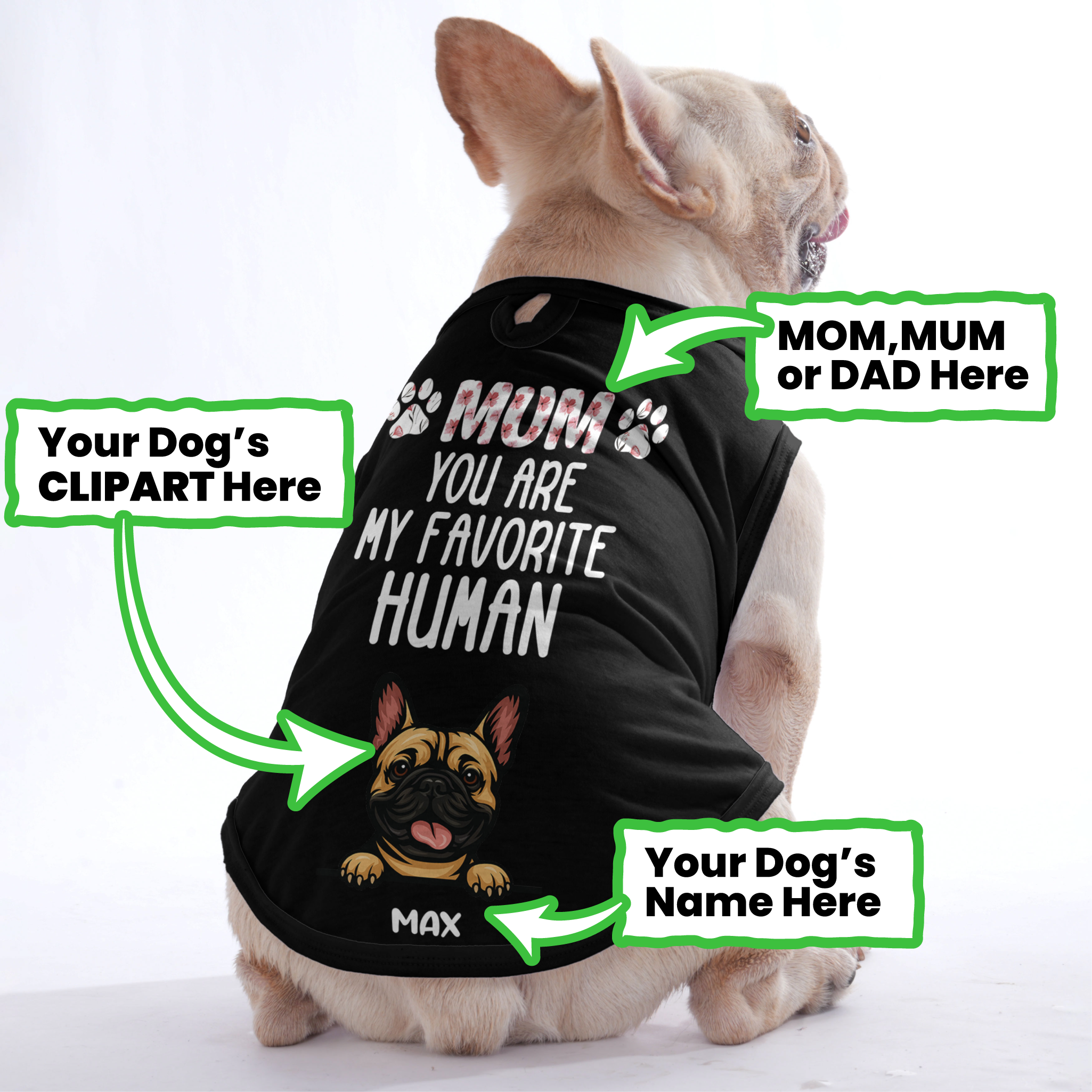 Frenchie Shirt | Custom Dog T-shirt For French Bulldogs For Dog Lovers