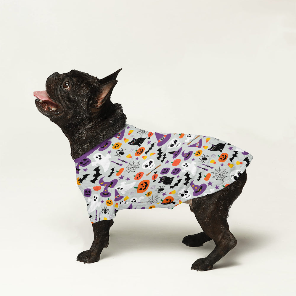 Jackie - Stylish Wool Sweater For Frenchies Casual Wear | Durable Build