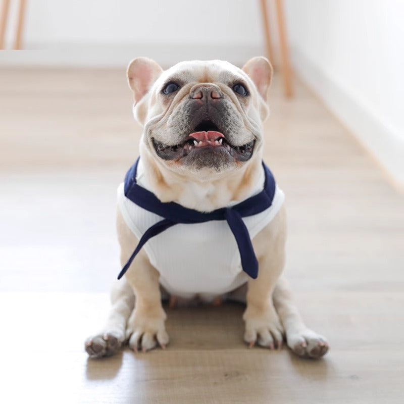 Minimal-Aesthetic Seafrench Frenchie Sailor Vest – Striped Thin Summe...
