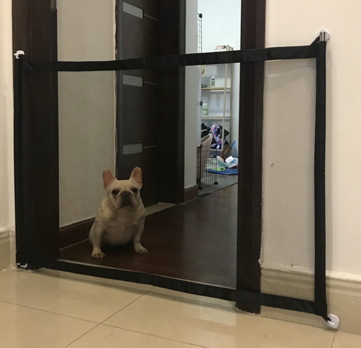 Magic Gate for Frenchies (WS57)