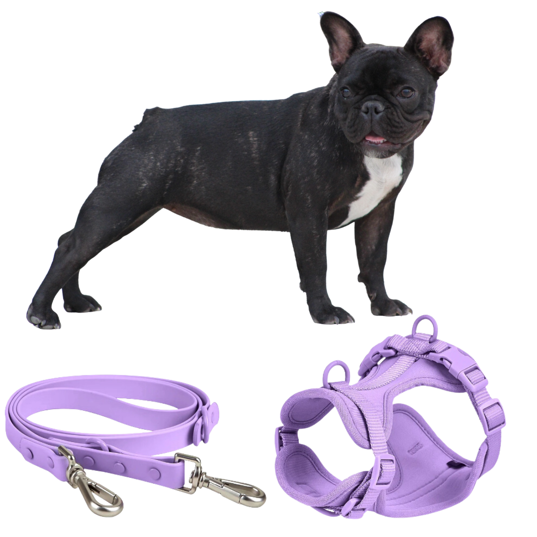 Frenchie Quick Release Harness Leash Set
