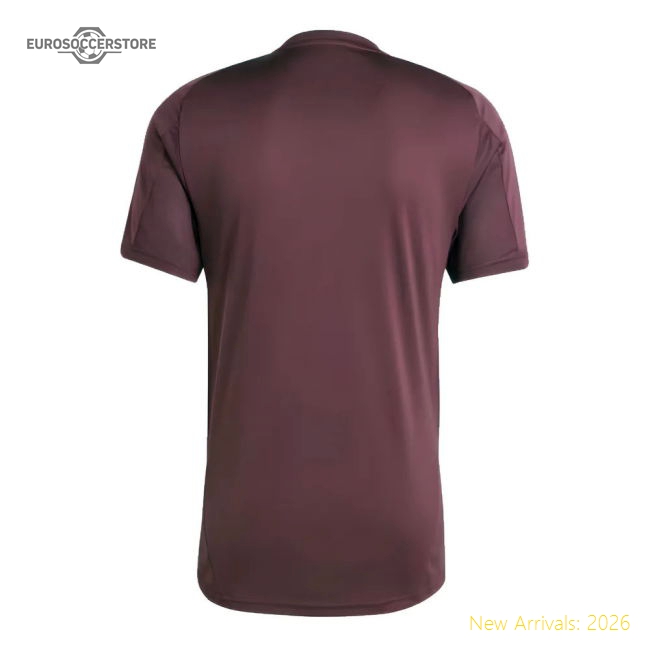 Superior 2024-2025 Bayern Munich Training Shirt (shadow Maroon) (le