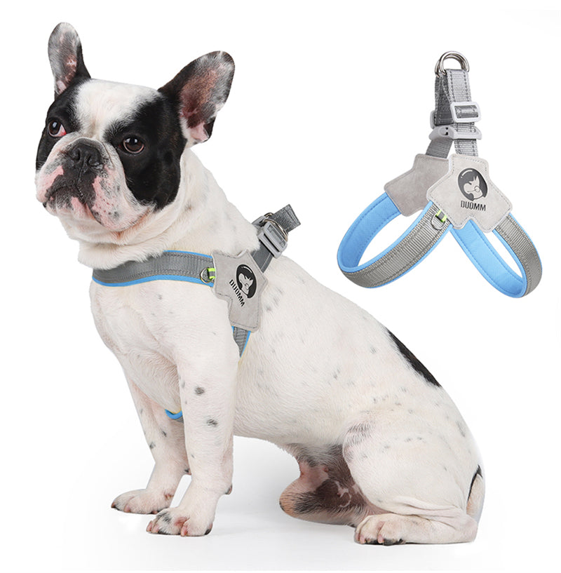 Durable Lightlatch No Pull Frenchie Reflective Harness for Outdoor Use