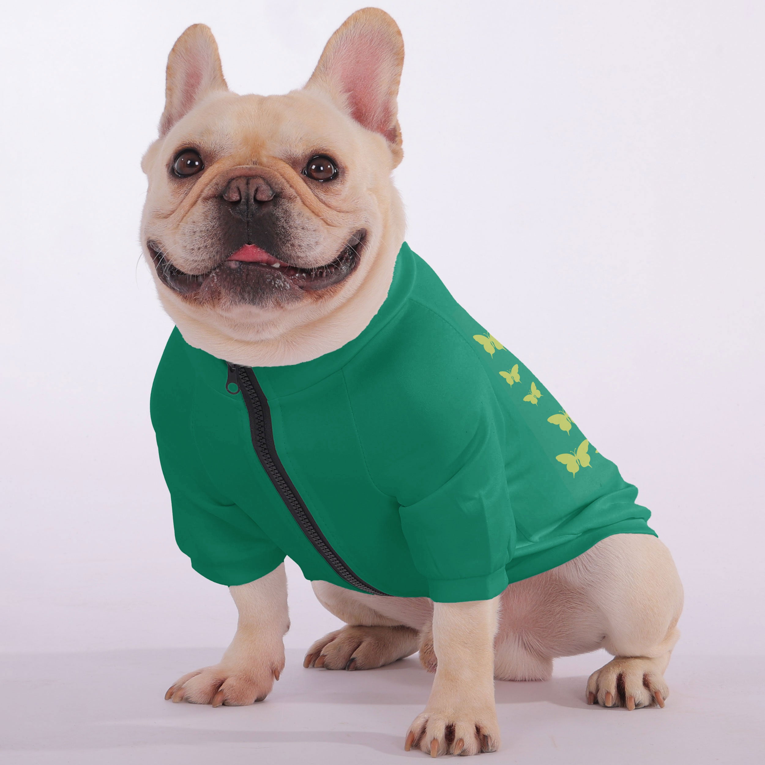 Groucho - Snuggly Zip-Up Sweatshirt for French Bulldogs