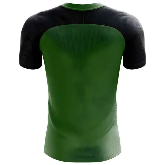 Aero-Dynamic 2025-2026 Algeria Flag Concept Football Shirt - Womens
