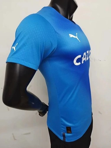 Authentic 2022-2023 Third - World Cup Fan - Continental Championship