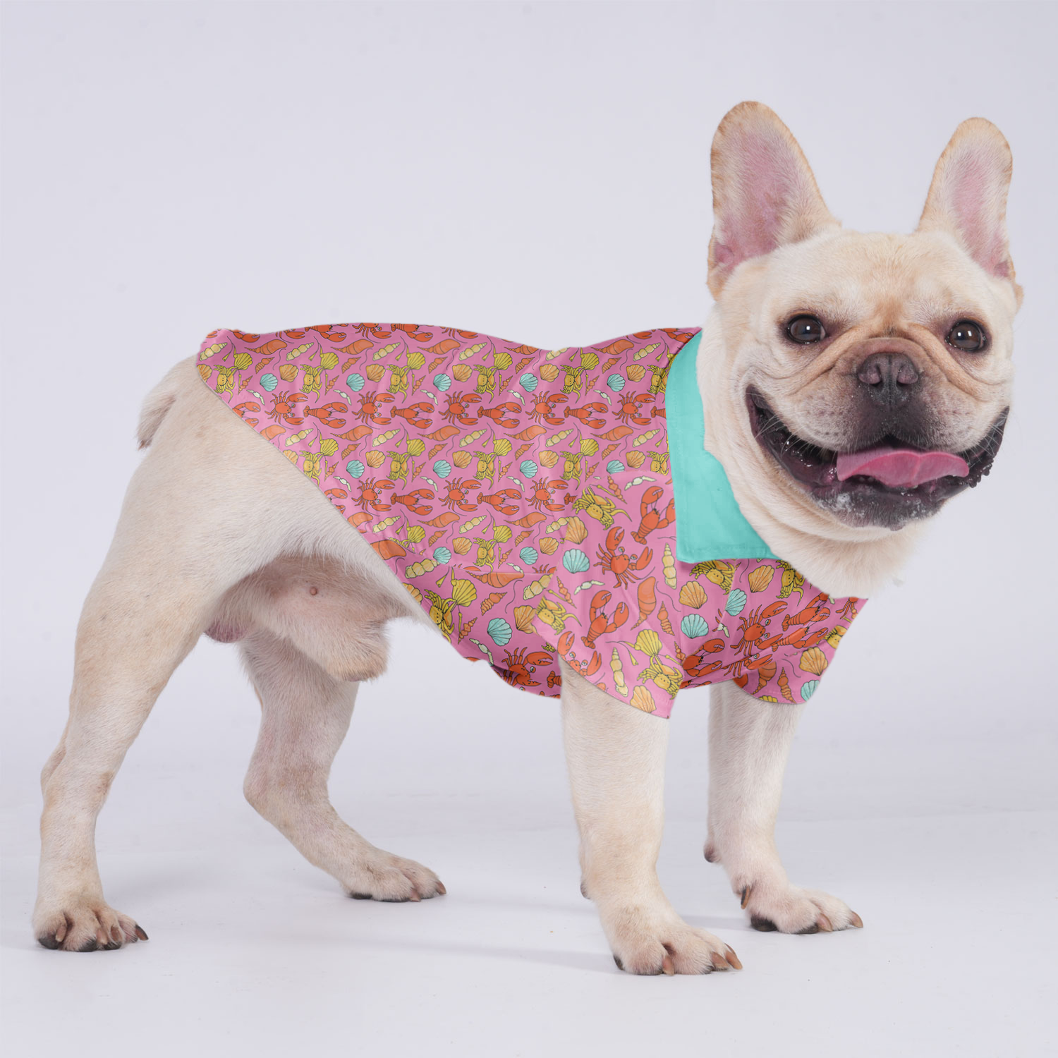 Stylish Hawaiian Shirt For Frenchies Frenchie Themed Wear | Stylish Look