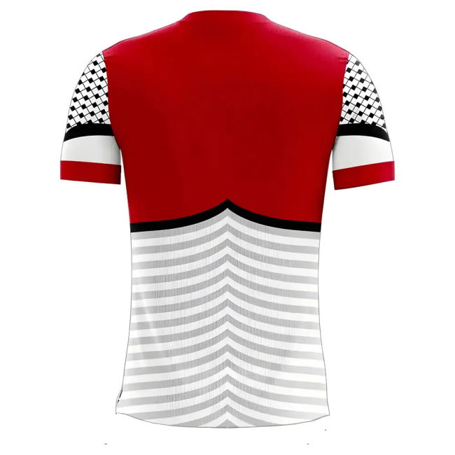 Palestine 2025-2026 Home Concept Football Kit (Libero) - Womens