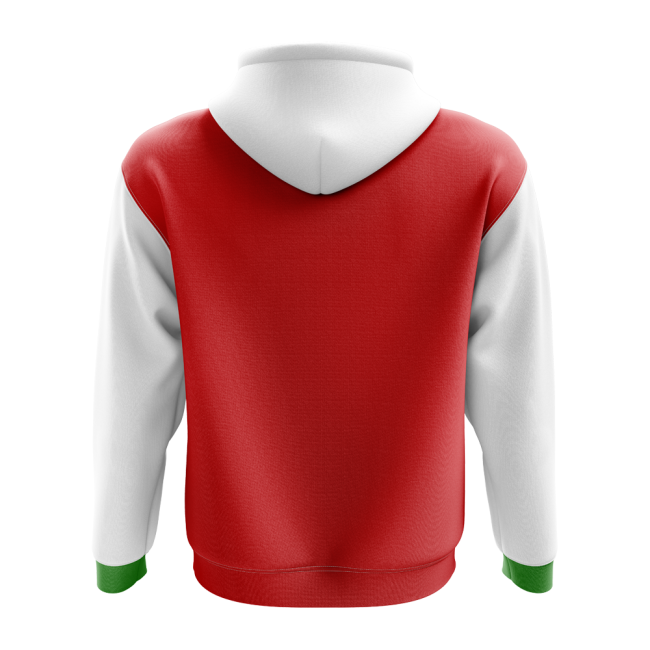 Lebanon Concept 20242025 Concept Pro Jersey Climalite Retro