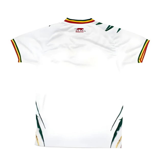 Climate-Control 2024 Mali Home Shirt World-Class Exclusive-Design