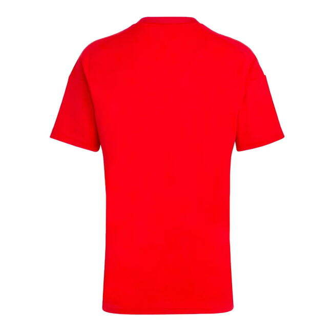 And Value For Money 2024-2025 Hungary Home FAN Shirt (SZOBOSZLAI 10) Discount Campaign
