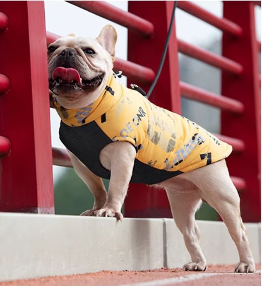 PupTrend Premium Frenchie Jacket