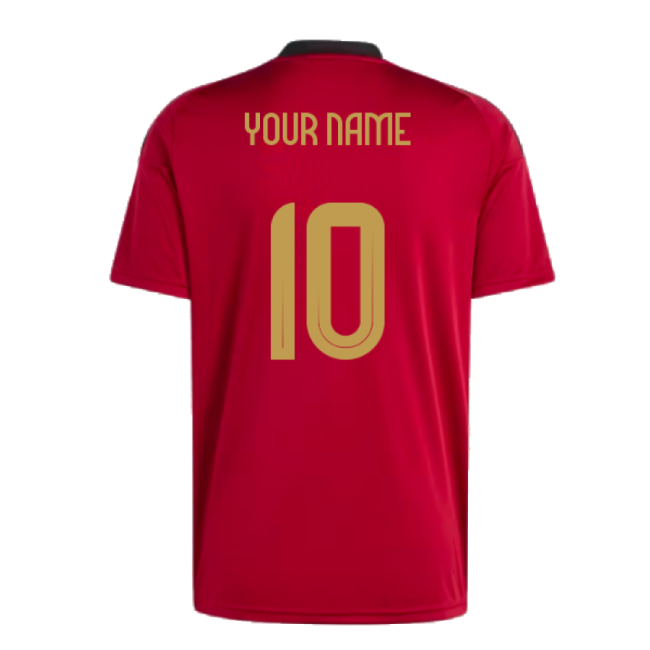 Premium 2024-2025 Belgium Home Quality Euro Breathable Cup Authentic