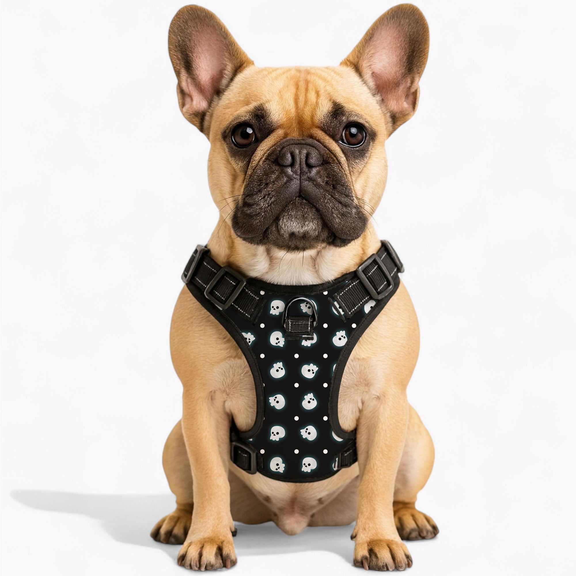 Daily-Walk Loki - No-pull French Bulldog Dog Harness for Walking Premium