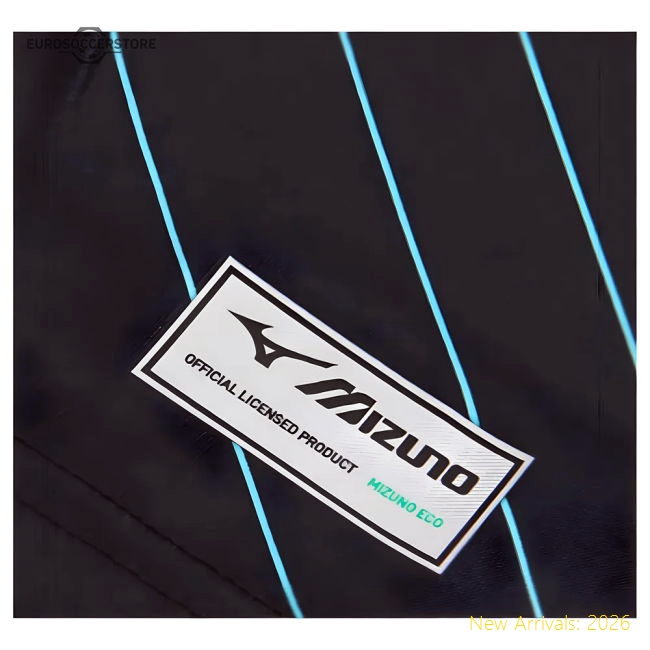Lazio Third Kit 2024-2025 Fan Wear Jersey Game Ready