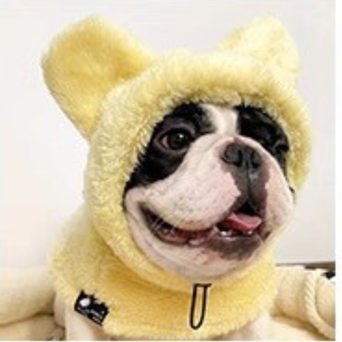 Warmie Frenchie Winter Plush Hat - Cozy & Stylish for French Bulldogs