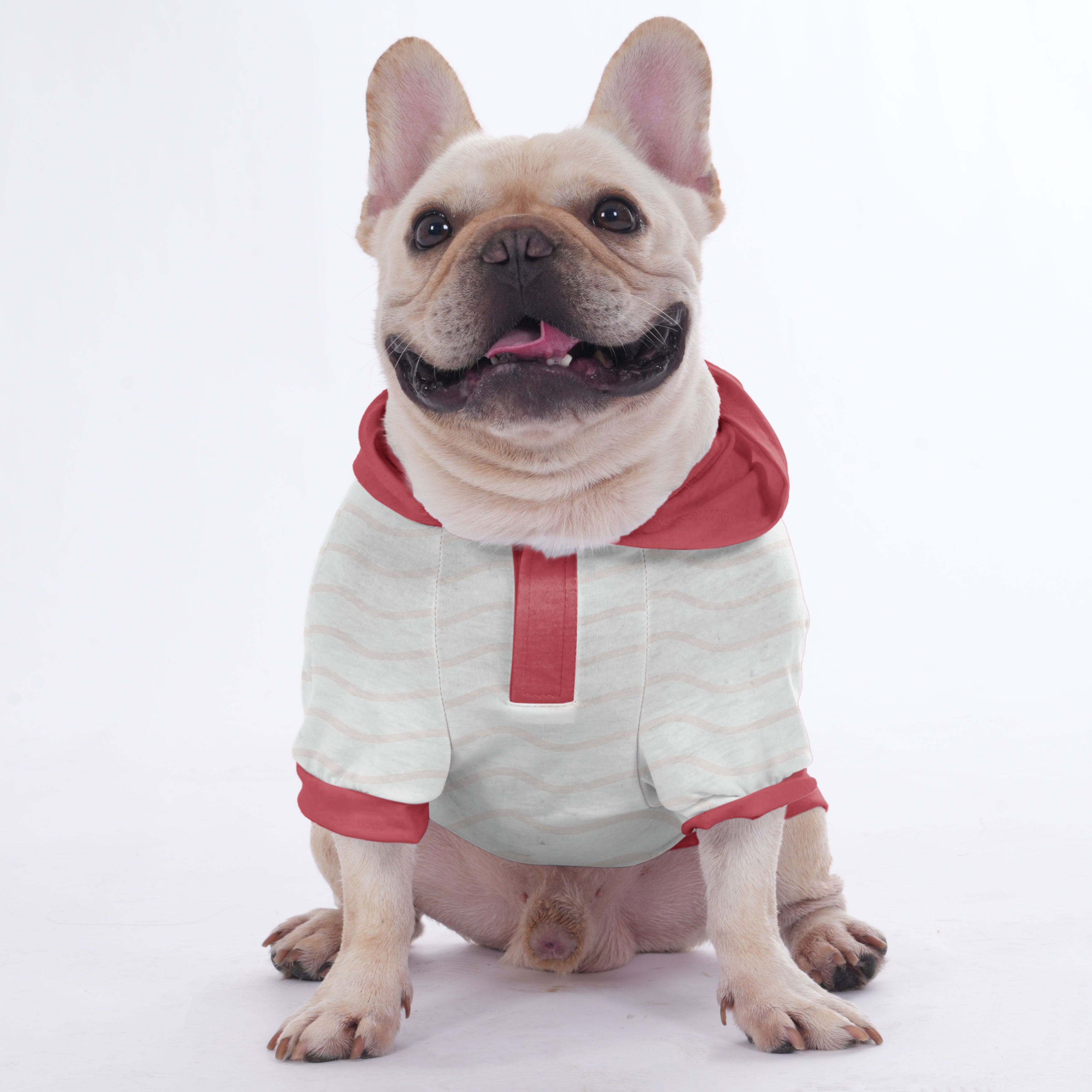 Poppy - Hoodies for French Bulldog | Frenchie Shop Original