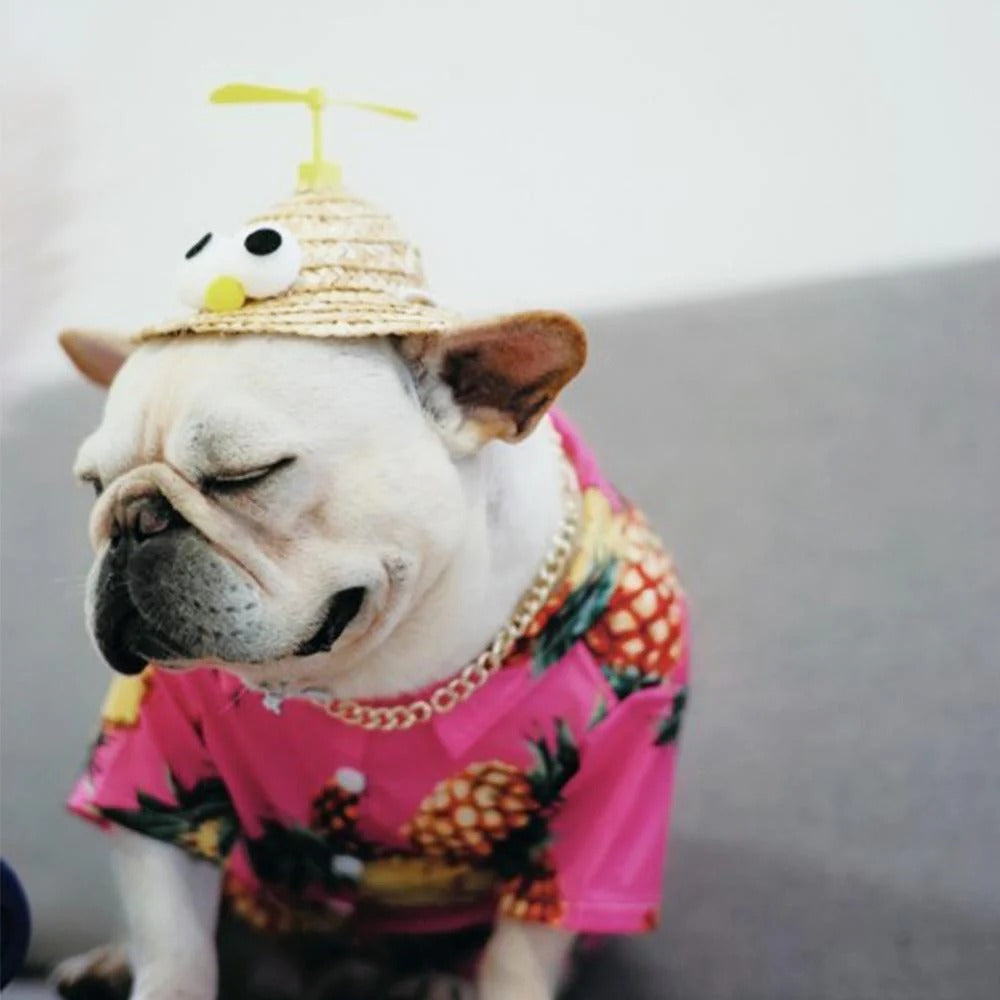 TwirlCap Frenchie Spinning Straw Hat – Cute Propeller Summer Dog Cap