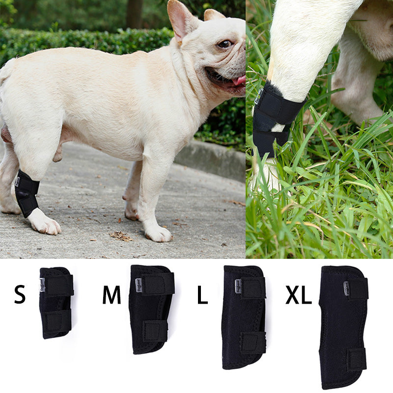 Durable French Bulldog Elbow Wrap Wounds Supportive (wk04) for Casual