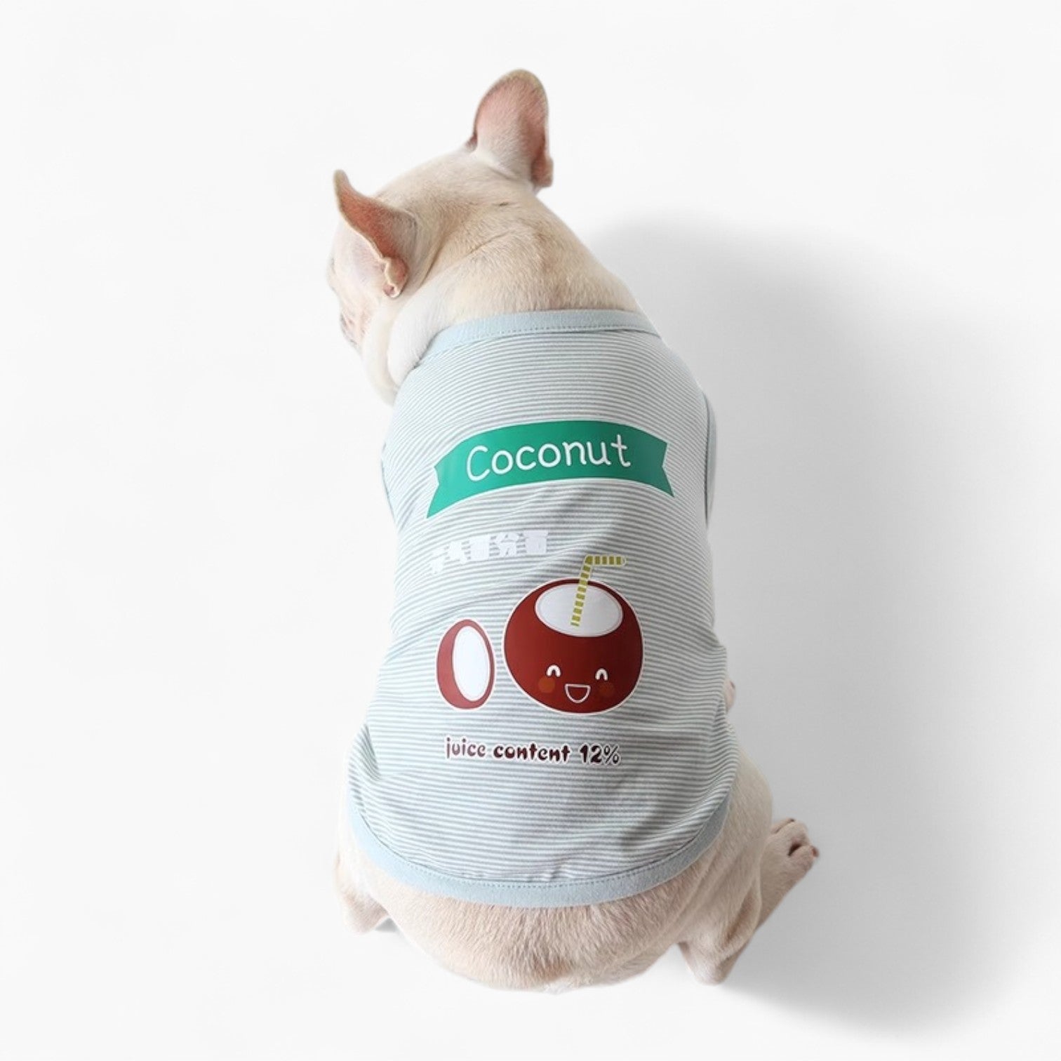 Street-Ready Froztee Frenchie Polar Bear T-shirt – Soft Breathable Su...