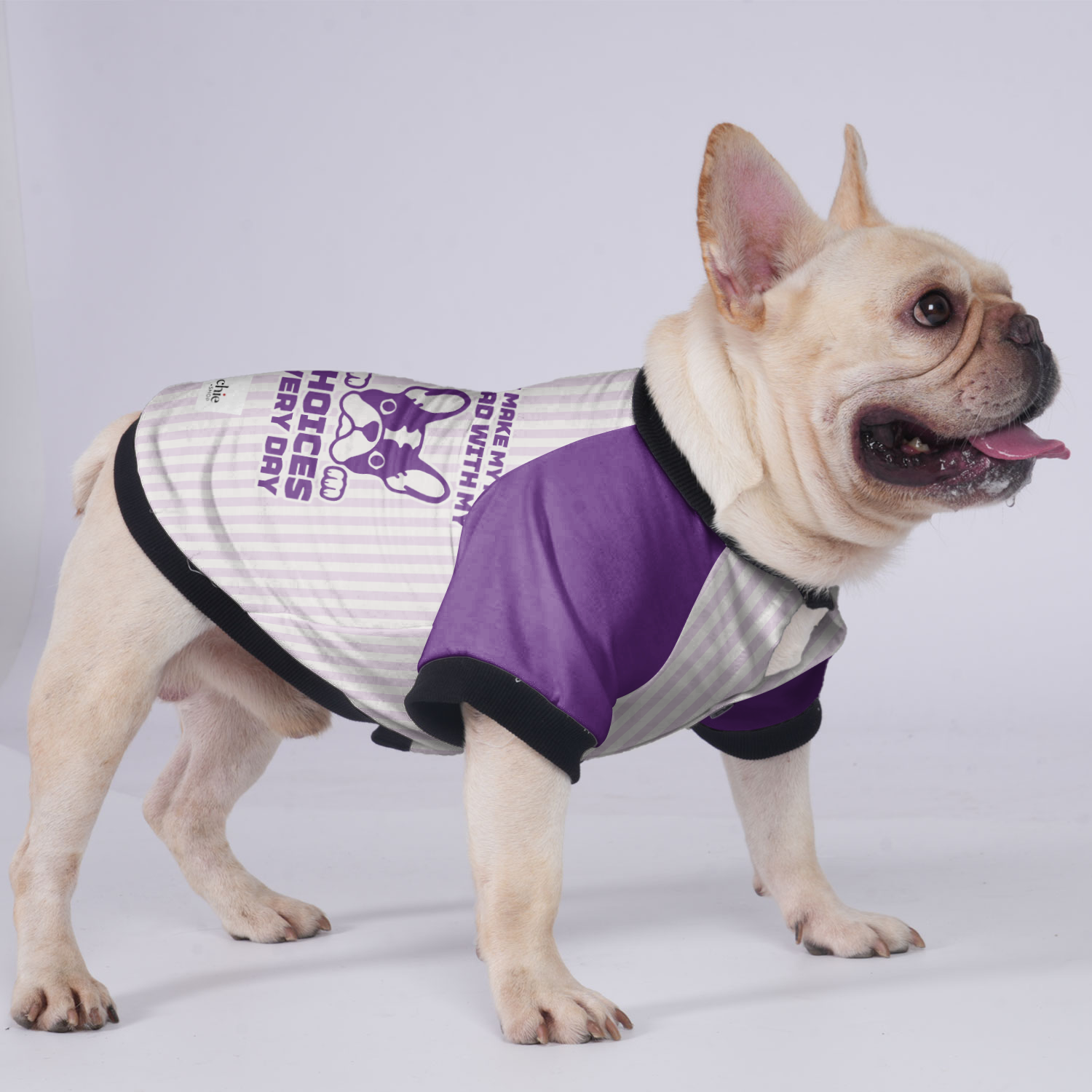 My Choices Every Day - Premium Jacket For French Bulldog Winter Wear