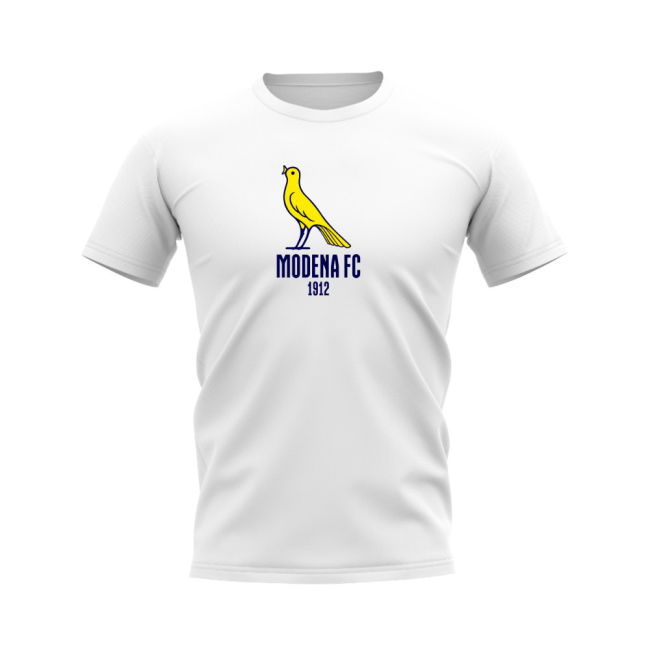 T-Shirt (White) Stretch Fabric Antibacterial Lightweight