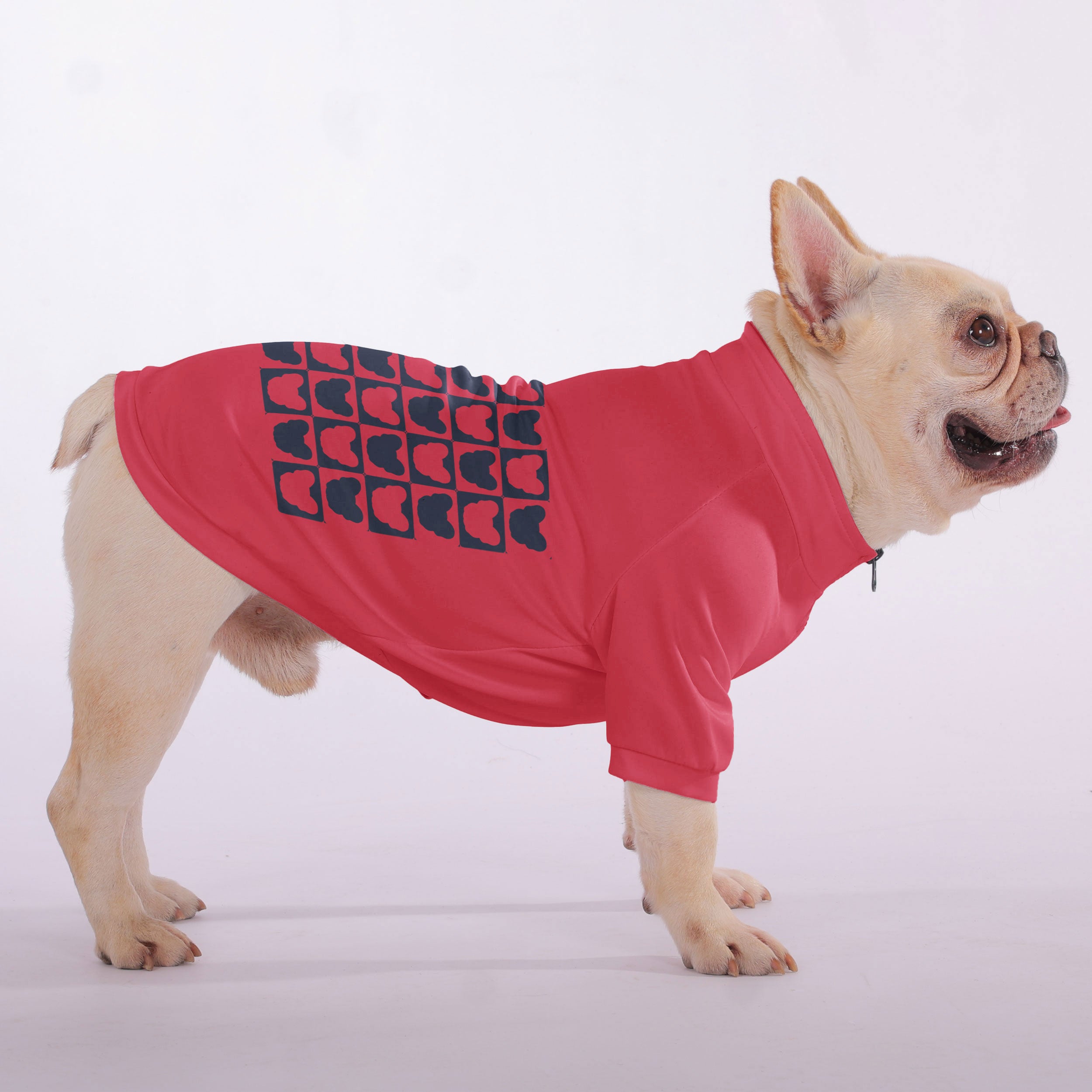 Teddy - Snuggly Zip-Up Sweatshirt for French Bulldogs