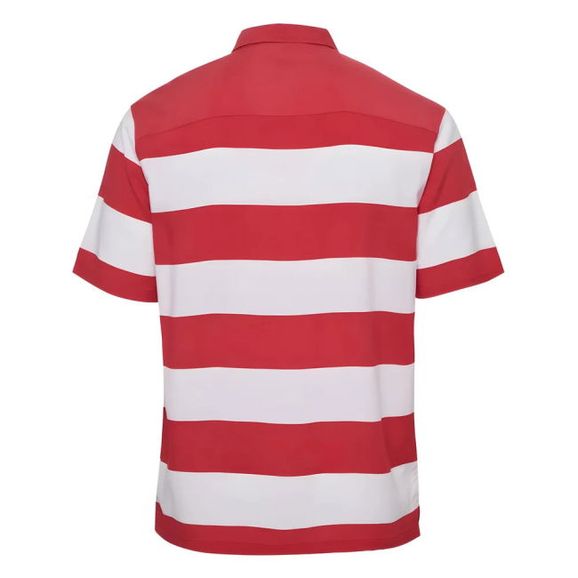 Professional Denmark 2024-2025 Home Strip