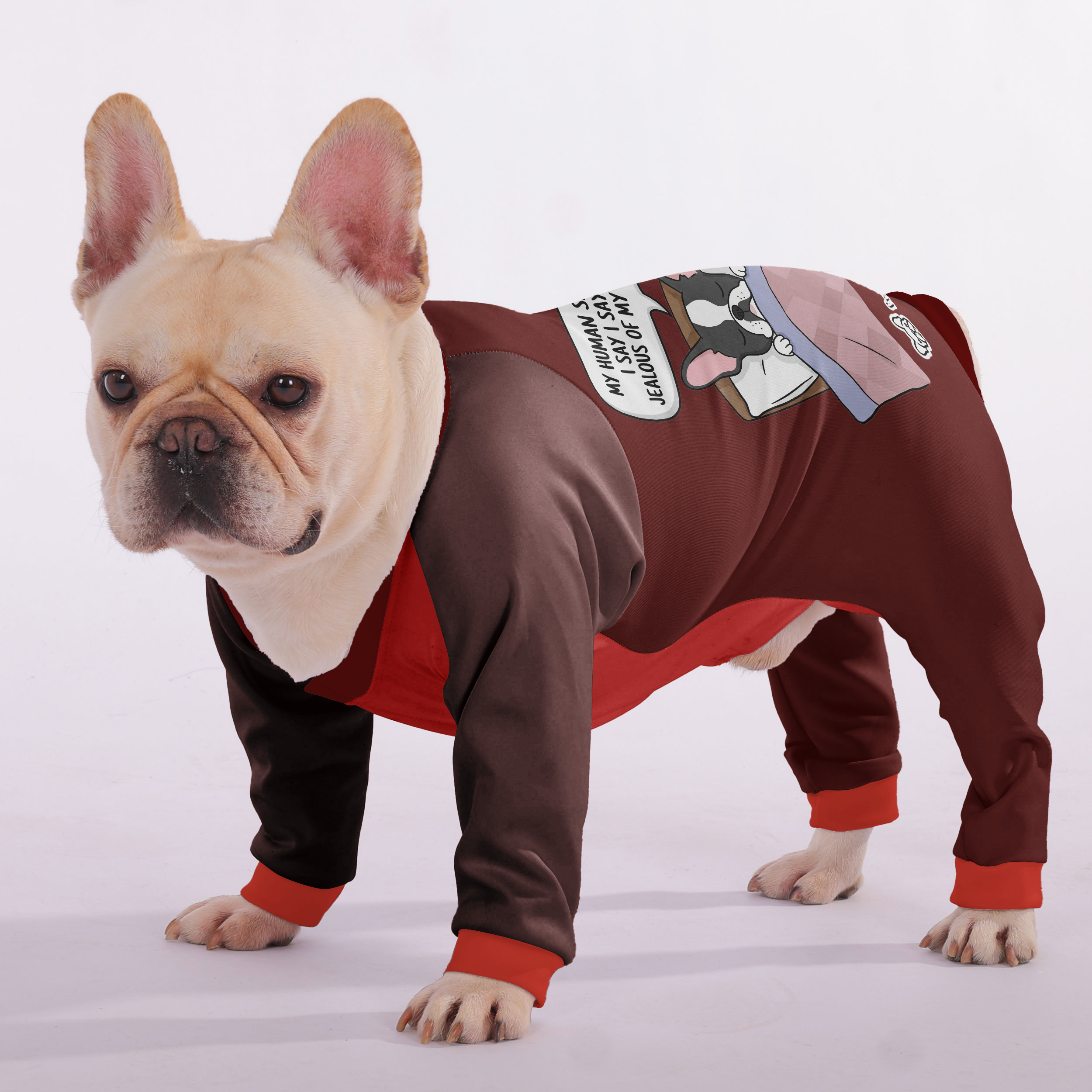 Ultra-soft, Cozy, & Adorably Stylish For French Bulldogs | Safe For Paws