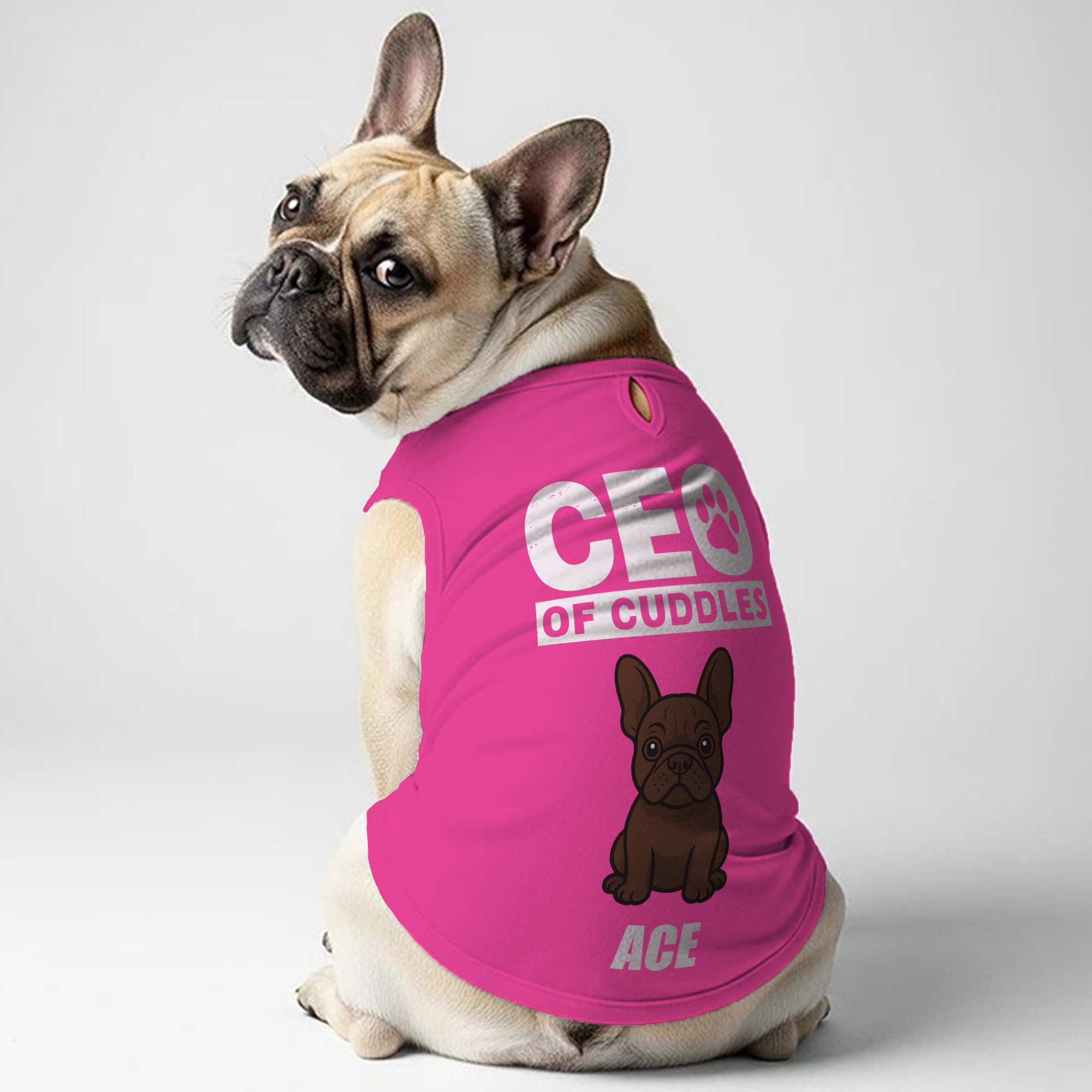 Street-Ready Ceo Of Cuddles - Personalized Frenchie Shirt | Custom Do...